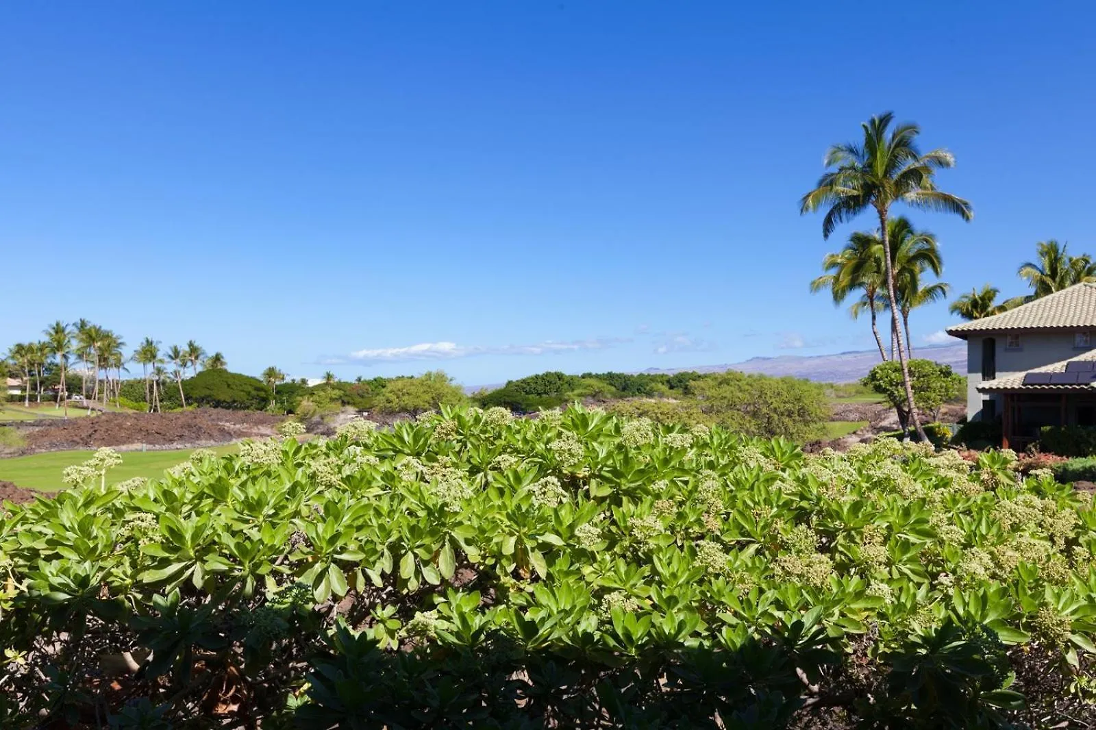 Hébergement de vacances 606 Fairways At Mauna Lani Waikoloa